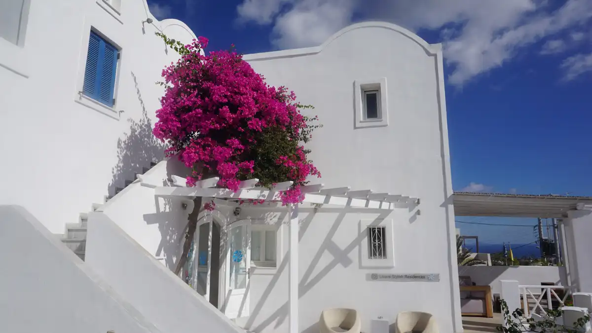 a traditional white house with fuchsia flowers in santorini